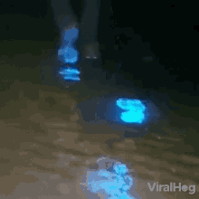 Glowing Footprints Viralhog GIF - GlowingFootprints Viralhog ShiningFootprint GIFs