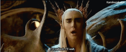 Image result for thranduil patient gif
