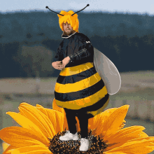 Bees GIFs | Tenor