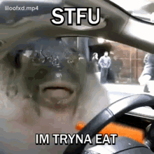 puffer fish eating carrot meme