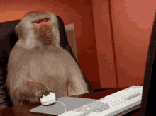 Monkey On Computer GIFs | Tenor