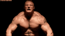 Next Big Thing Brock Lesnar! Tenor