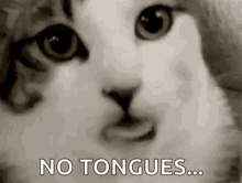 [Image: tenor.gif]