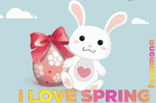 Nowruz Gifs Tenor
