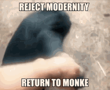 Image result for reject humanity return to monke gif