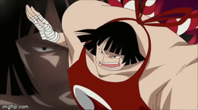 One Piece One Day Gif Onepiece Oneday Sevenwarlords Discover Share Gifs