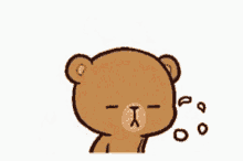 cute angry teddy bear