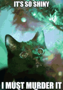 Christmas Cats GIFs | Tenor