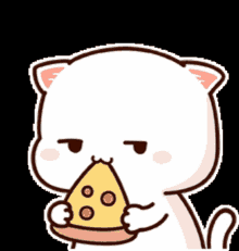 Cute Cat Pizza GIF - CuteCat Pizza Ճուտիկ GIFs