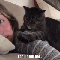 Cat kill girl