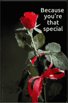 You Are Special Gifs Tenor