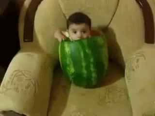 Bebe Metido En Una Patilla Gif Sandia Patilla Bebe Discover Share Gifs