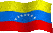 Resultado de imagen para bandera venezolana gif