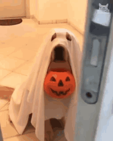 View Halloween Pictures Cute Dog Pictures