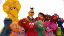 Sesame Street Happy GIF - SesameStreet Happy Squad GIFs