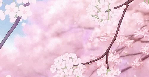 Anime Cherry Blossom Tree Gifs Tenor