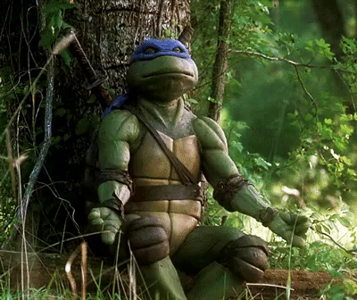 Leonardo Meditating Gif Teenage Mutant Ninja Turtles Leonardo Meditate Discover Share Gifs