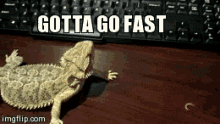 Image result for fast gif