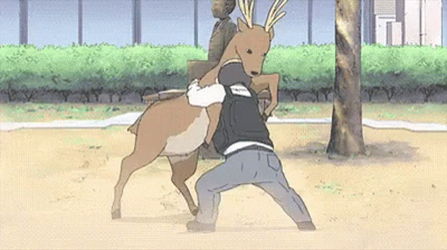 nichijou deer gif nichijou deer wrestle discover share gifs nichijou deer gif nichijou deer wrestle discover share gifs