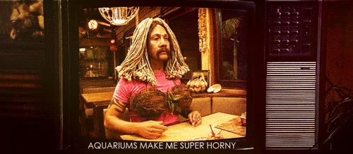 50first Dates Rob Schneider Gif 50first Dates Rob Schneider Aquariums Make Me Super Horny Discover Share Gifs