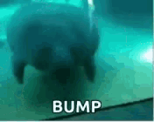 BUMP!
