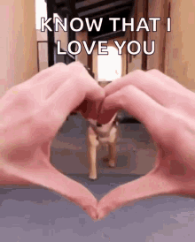 Shiba Heart GIF - Shiba Heart Love - Discover & Share GIFs