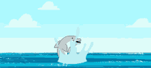 Flipper GIFs | Tenor