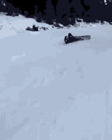 Sliding In Snow GIFs | Tenor