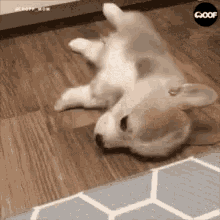 sleepy gif sleepy gif