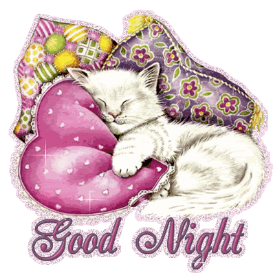 Good Night Cat GIF - GoodNight Cat Kitty - Discover & Share GIFs