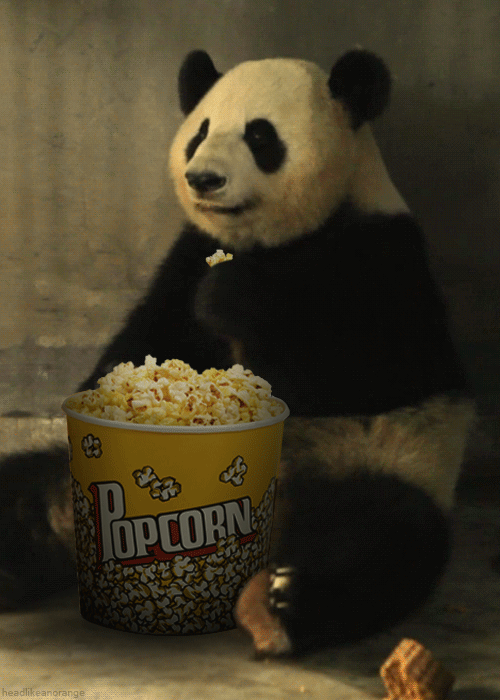 panda eating popcorn
