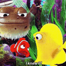 I Knew It GIF - FindingNemo Nemo IKnewIt GIFs