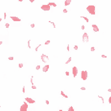 Featured image of post Sakura Petals Falling Anime Gif / Falling cherry blossom petals hd animation 桜の花吹雪.