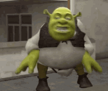 Memes Shrek Funny Face