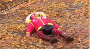 Post reply image