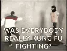 Kung Fu Fighting Gifs Tenor