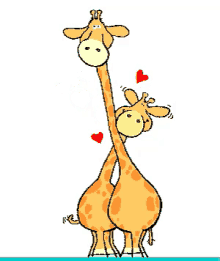 Giraffe Animals GIF - Giraffe Animals Love GIFs