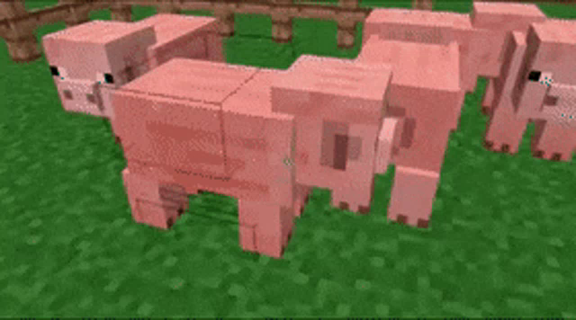 Minecraft Cursed Gif Minecraft Cursed Pig Discover Share Gifs