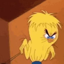 Featured image of post Piolin Gif Png piolin tweety looney tunes cartoonsworld