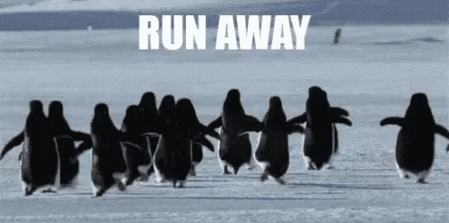 Image result for run away gif