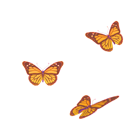 Featured image of post Moving Transparent Butterfly Gif Collection of butterfly animated gif transparent 46