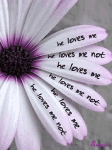 Loves Me Loves Me Not Gifs Tenor