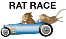 Rat Race Narcolepsy Gifs Tenor