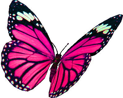 Featured image of post Pink Butterfly Gif Png To created add 41 pieces transparent butterfly images of your project files with the background cleaned