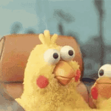 Cool Gif Images Scared Chicken Gif