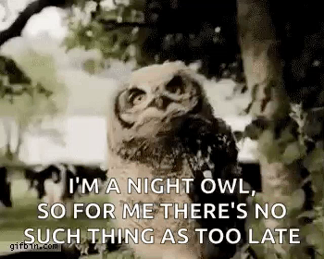 morning person vs night owl meme