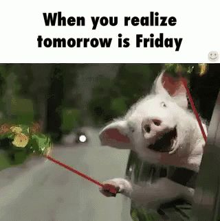 The popular Tomorrow Is Friday GIFs everyone's sharing