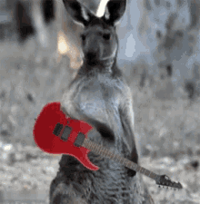 Kangaroo Christmas Gifs Tenor