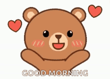 Bear Good Morning GIFs | Tenor
