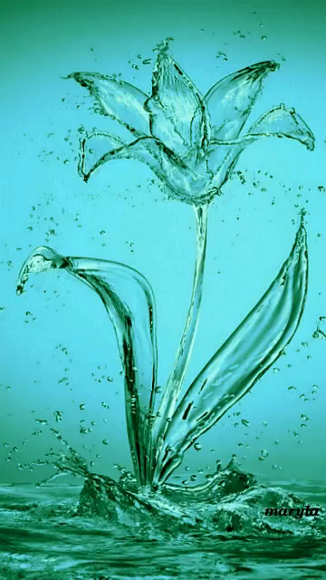 Flower Water Gif Flower Water Beautiful Discover Share Gifs